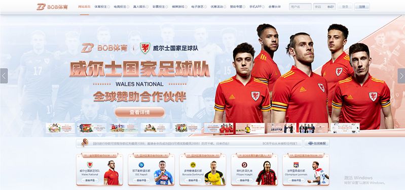 BHOYA娱乐城 - 德甲多特蒙德官方合作伙伴 2 BHOYA娱乐城简介